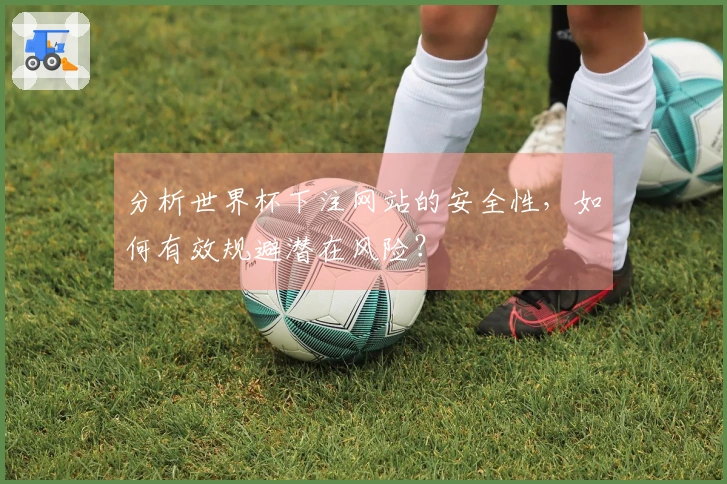 分析世界杯下注网站的安全性，如何有效规避潜在风险？