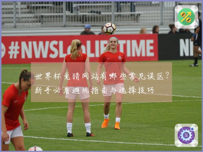 世界杯竞猜网站有哪些常见误区？新手必看避坑指南与选择技巧