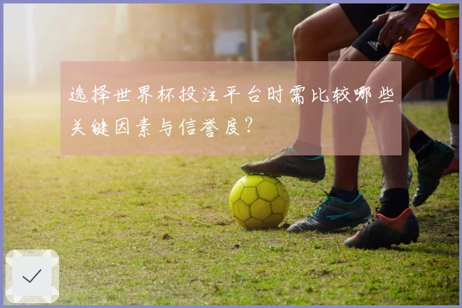选择世界杯投注平台时需比较哪些关键因素与信誉度？