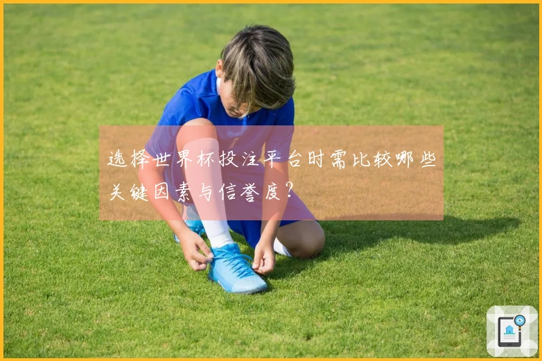 选择世界杯投注平台时需比较哪些关键因素与信誉度？
