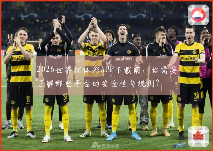 2026世界杯体彩APP下载前，你需要了解哪些平台的安全性与规则？