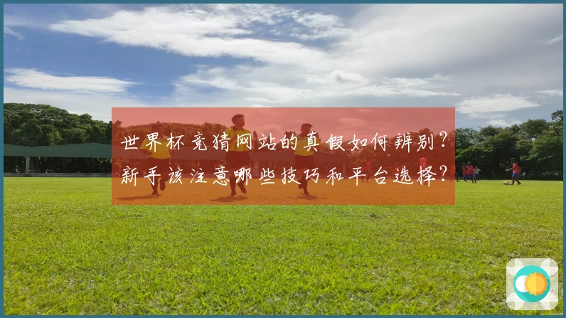 世界杯竞猜网站的真假如何辨别？新手该注意哪些技巧和平台选择？