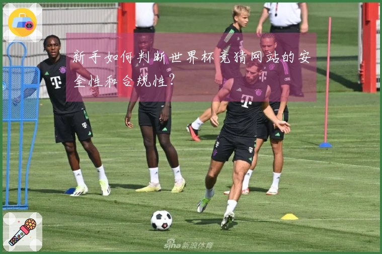 新手如何判断世界杯竞猜网站的安全性和合规性？
