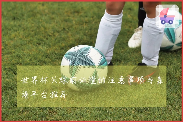 世界杯买球前必懂的注意事项与靠谱平台推荐