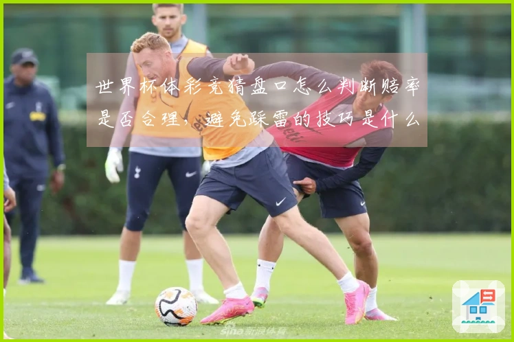 世界杯体彩竞猜盘口怎么判断赔率是否合理，避免踩雷的技巧是什么