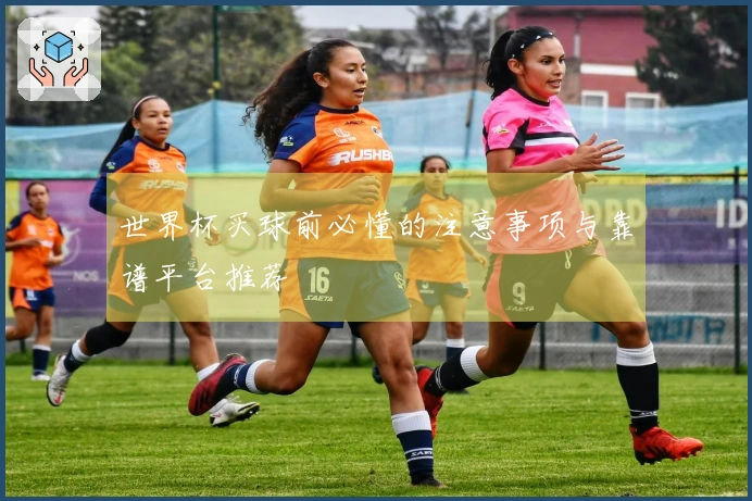世界杯买球前必懂的注意事项与靠谱平台推荐